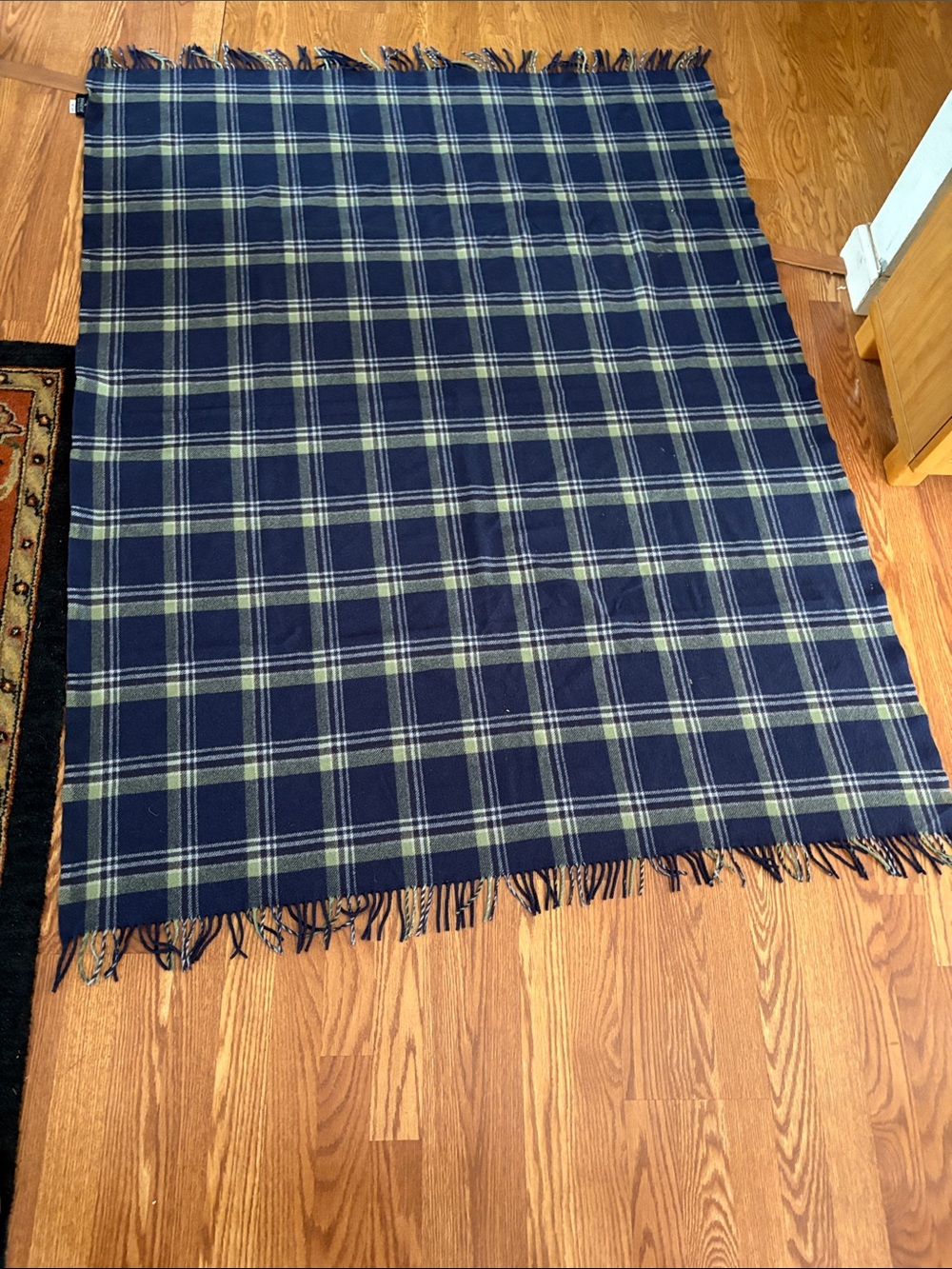 Pendleton Plaid Fringe Throw Blanket - Navy and Green